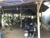 Hammock coffee shop....very popular......most natives stayed in the shade during the hot midday