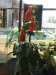 IMG_1467-e1492485342945