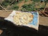Drying rice and them mix with lotus nets for dessert