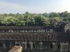 IMG_4134