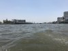 IMG_4496