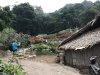 Views of their garden