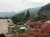 IMG_4522