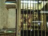 IMG_4695