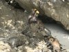This monkey stole the bottle of juice and was very happy!!!