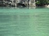 Monkey swimming the channel near TG Dedang
