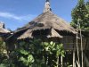 Lots of pictures of the traditional homes and longhouses!