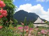 Lovely Mt Santubong