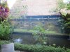 Various pictures around the resort