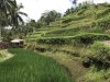 IMG_6610