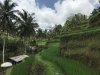IMG_6613