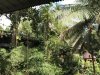 View from the restaurant!!