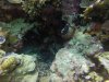 GOPR0593