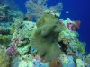 GOPR0686