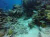 GOPR0745