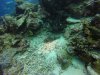 GOPR0748