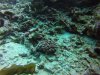GOPR0753