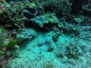 GOPR0876