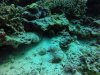 GOPR0877