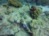 GOPR0881