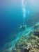 Kathy and Marco on our first dive.....sometimes I didn't get the right color lens filter to bring out the colors but the colors were brilliant....you will see in some of the later photos