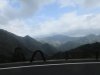 View from bus on hike in Yakusugi Land