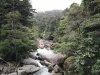 IMG_8704
