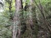 IMG_8729