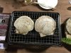 Sacllops