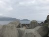 IMG_8882