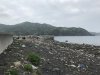IMG_8884
