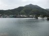 IMG_8888