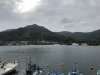 IMG_8890
