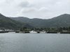 IMG_8891