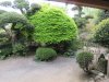 IMG_4039
