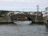 IMG_4101