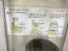A pictorial description of how to distill Shochu.....the sweet potato vodka!!