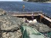 Workers rebuilding the seawall