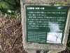 IMG_9182