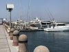 Lots of power boats in the marina.....Mystic is at the other end by the blue lifts!!