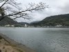 IMG_9381