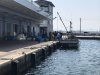 Fishing boats unloading in Taisha