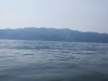 IMG_4736