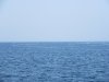 Many nets/buoys we avoided as we approached Ine