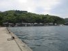 IMG_4772