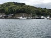 IMG_9779