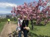 A few tress still blossoming