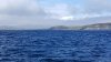 Adak description: “It’s this treeless, windswept landscape of rolling green hills and abrupt cliffs, the Bering Sea to the north and the Pacific to the south,”