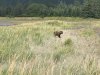 IMG_1847