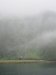 Woke up to foggy hills in Hoggs Head anchorage
